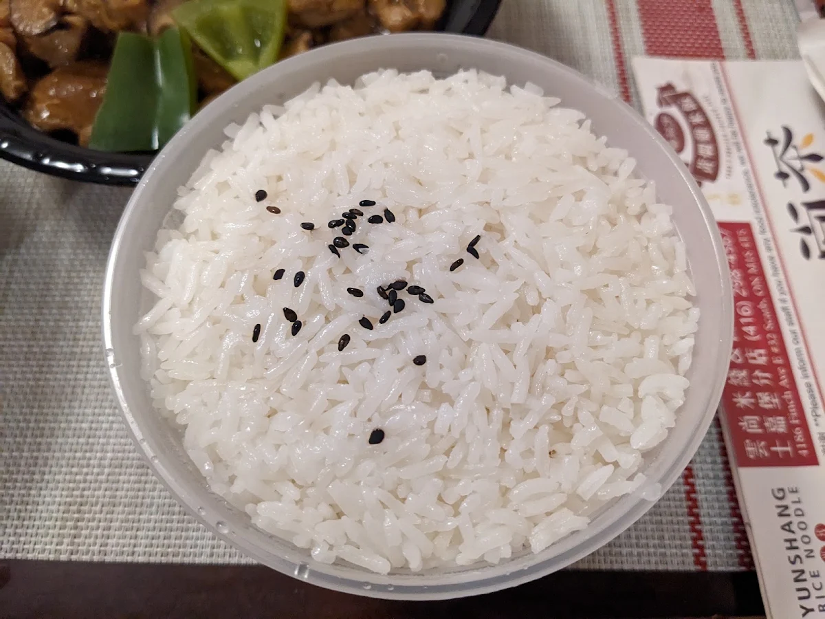 额外米饭 extra rice, Yang's Braised Chicken Rice (Scarborough)